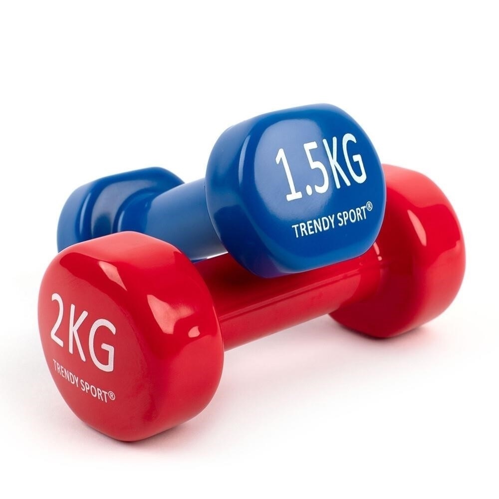 Hanteln Vinyl 1,5kg und 2,0kg