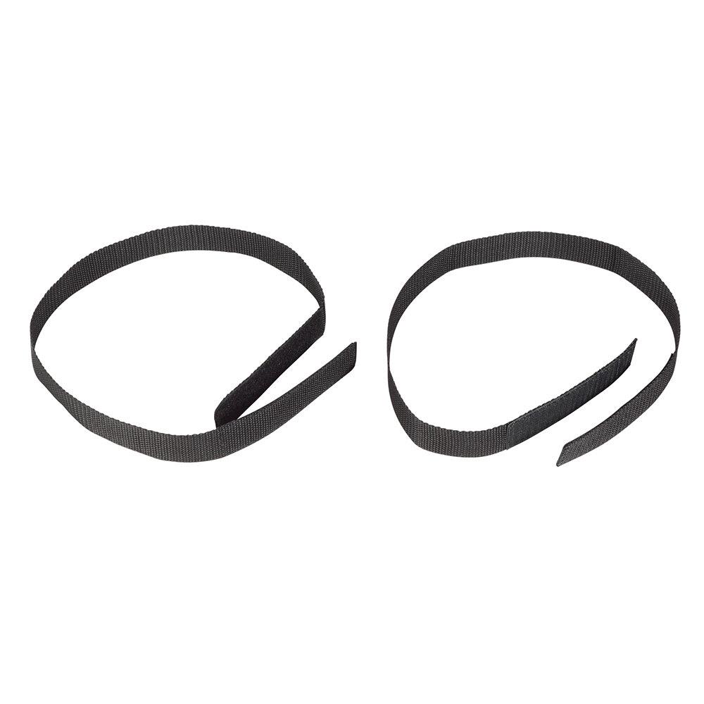 Tragegurt ElasticBand Standard