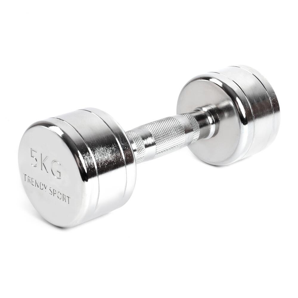 Kurzhantel Chrom 5kg