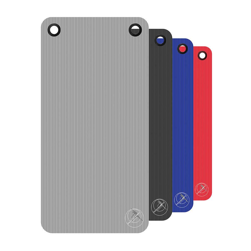 Gynastikmatte ProfiGymMat Professional 120 mit Ösen Farbübersicht